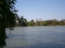 Bois de Vincennes