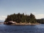 Tofino