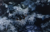 06-001