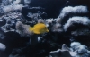 06-002